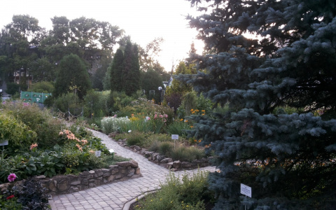 За фото на территории - 5200 рублей в час: кировчан возмутило объявление на входе в Ботанический сад