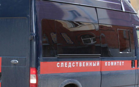 16-летняя девочка из Нововятска напала на знакомого с ножом