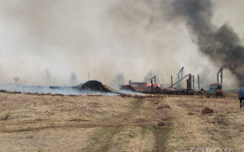 В Кирове объявлено метеопредупреждение из-за высокой пожарной опасности