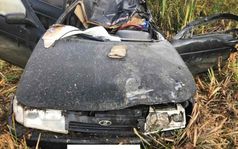 На трассе "Вятка" на дорогу выбежал лось: водитель ВАЗа скончался на месте