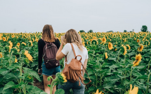 Львов ждет испытание, а Рыбам стоит контролировать себя: гороскоп на неделю