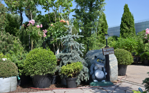 Кировчане смогут создать свою Норвегию на даче