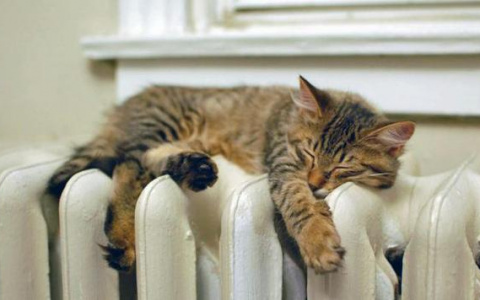 Опубликован рейтинг УК и ТСЖ по готовности к отопительному сезону