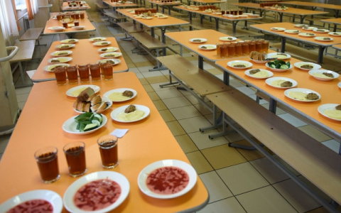 В минобре открыли «горячую линию» по вопросам бесплатного питания в начальной школе
