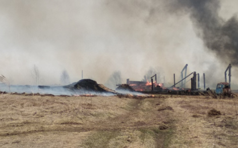 В Кировской области объявлено метеопредупреждение из-за 4 класса пожароопасности