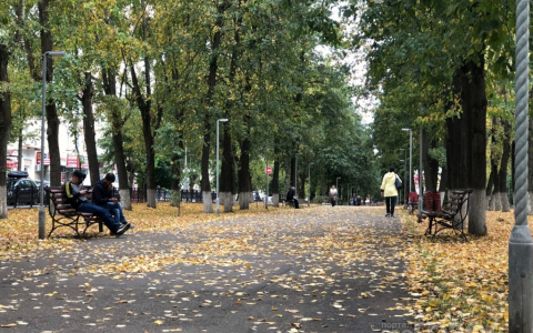 Синоптик рассказал, когда в Кировской области начнется бабье лето
