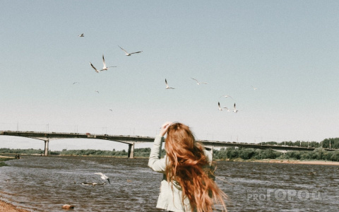 Скорпионы захотят изолироваться, а Девы - расставить все точки над "и": гороскоп на вторник