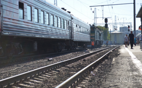 На кировской железной дороге произошло ЧП из-за двух лосей