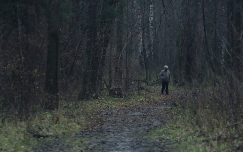 «Сейчас мы пойдем развлекаться в кусты»: история женщины из Кирова, пережившей нападение
