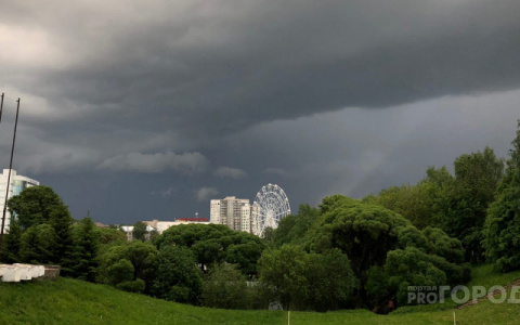 В Кировской области объявлено метеопредупреждение из-за ветра