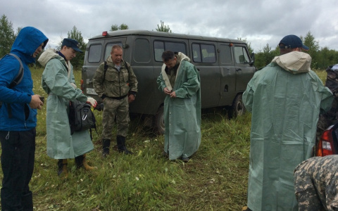 23 погибших и 455 пропавших: «Лиза Алерт» подвела итоги работы за 8 месяцев