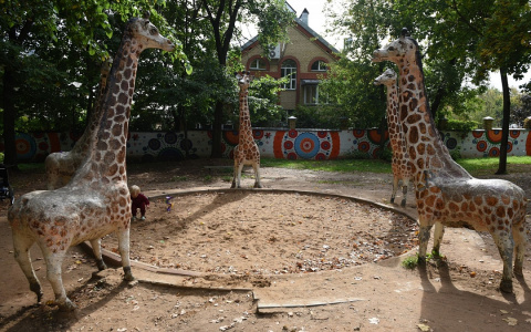 В мэрии Кирова рассказали, как планируют обустраивать парк "Аполло"