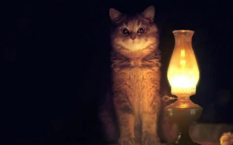 В четверг сотни кировчан останутся без электричества