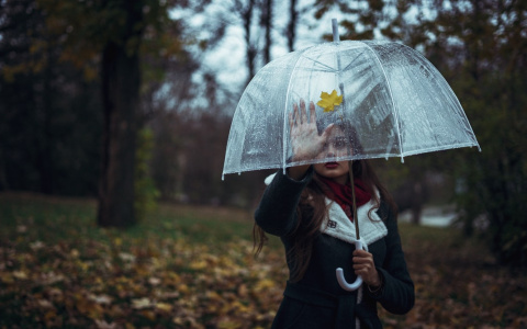 Скорпионов ожидает череда неудач, а Козерогов - перемены: гороскоп на воскресенье