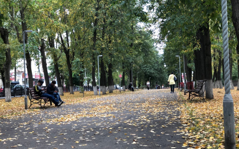 Что обсуждают в Кирове: прогноз погоды на неделю и отключение света