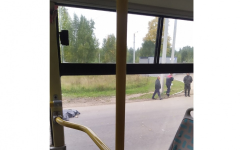 В Коминтерне 24-летний водитель ВАЗа насмерть сбил женщину