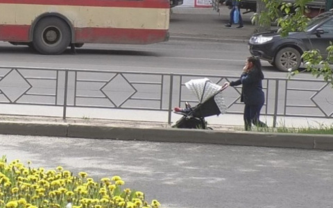 Выгода в цене: кировские урбанисты предлагают заменить серые заборы на живую изгородь