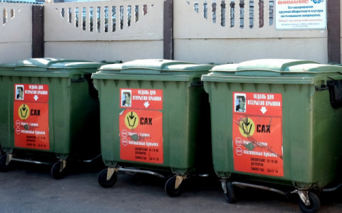 С 1 октября в Кировской области повысят тариф на вывоз мусора