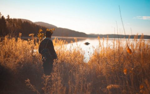Весам нужно стать самостоятельнее, а Рыбам быть осторожнее: гороскоп на вторник