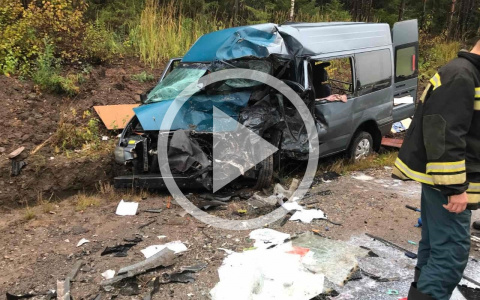 Утром на трассе в Кировской области при столкновении «Газели» и микроавтобуса погибли три человека