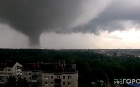 В Кировской области объявлено метеопредупреждение из-за ветра