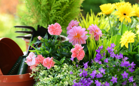 Финальная распродажа в магазинах "Садовник": скидки до -50%