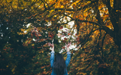Овны раскроют свой потенциал, а Водолеи останутся одни: гороскоп на четверг