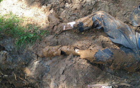 В Кирове рабочего насмерть завалило землей в котловане глубиной 4 метра