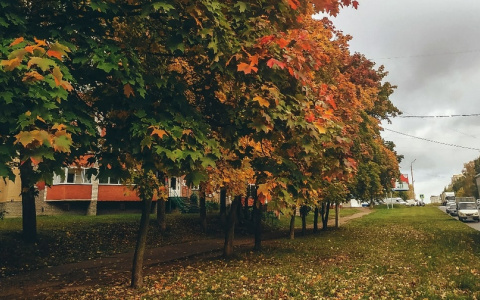 Солнечно и до +21: синоптик рассказал о погоде в Кировской области на выходных