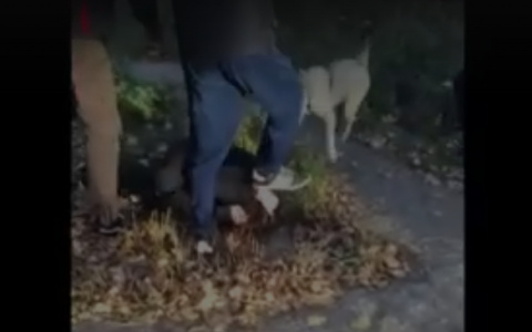 Что обсуждают в Кирове: жестокое избиение подростка и выходной 31 декабря