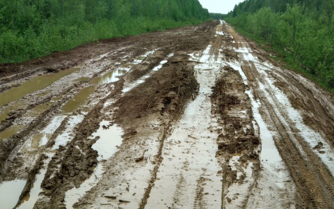 Опубликован список районов Кировской области с самыми плохими дорогами