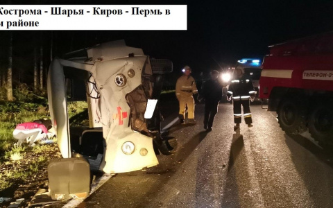 В Кировской области скорая помощь наехала на лося: пострадали 3 человека