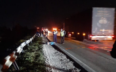 В Кировской области иномарка насмерть сбила двух пешеходов