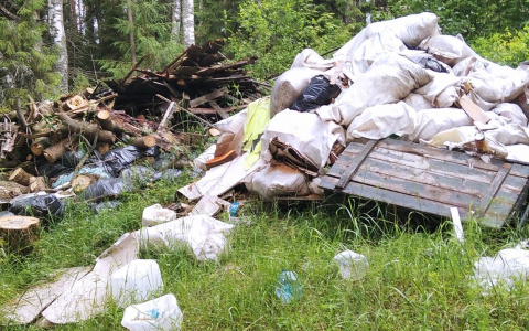 За 9 месяцев в Кирове ликвидировали более 600 несанкционированных свалок