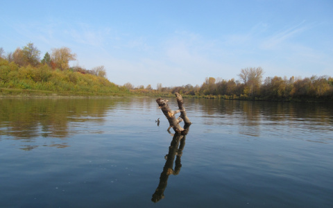 В Чепецком районе перевернулась лодка с 10-летним ребенком
