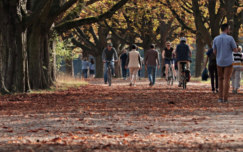 Водолеи выбьются из колеи, а Весы пустятся во все тяжкие: гороскоп на среду