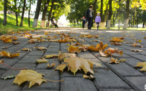 До +15: синоптик рассказал, когда в Киров вернется тепло