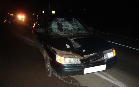 В Слободском районе водитель ВАЗа насмерть сбил женщину