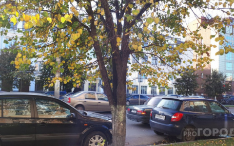 Переменная облачность и до +15: какая погода ждет кировчан в выходные