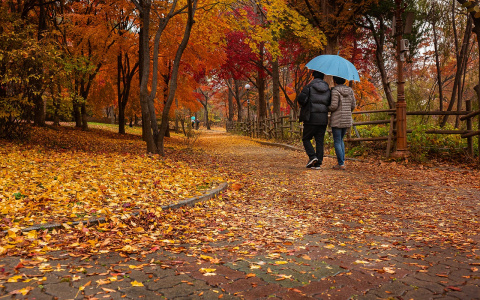 Ракам не стоит выходить из дома, а Овны потеряют что-то важное: гороскоп на воскресенье