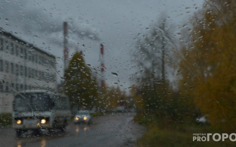 До +2 и дожди: известно, какая погода ждет кировчан на рабочей неделе