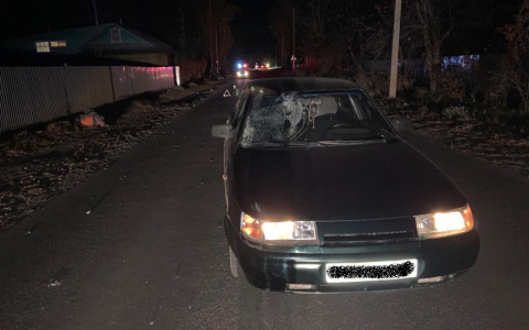 «Шел по дороге»: в Вятскополянском районе произошло смертельное ДТП