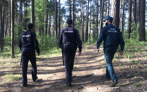 Что обсуждают в Кирове: студент, выживший в лесу, и первый снег в области