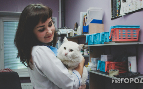 В Октябрьском районе домашних животных бесплатно вакцинируют от бешенства