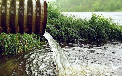 В Кировской области на участок мужчины несколько лет сливали сточные воды