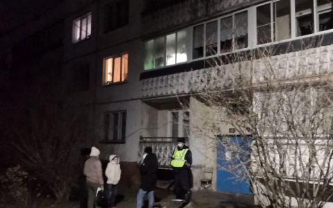 Мать нашли у подруги: в Кировской области в пожаре погибли четверо детей