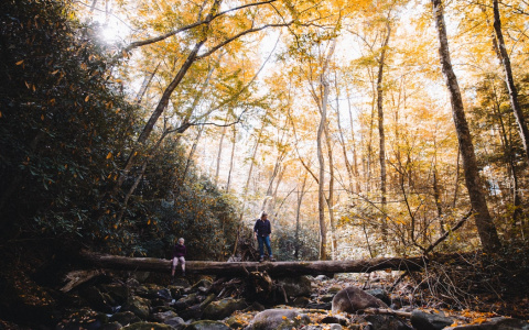 Дев ждут разногласия, а Водолеям помогут недруги: гороскоп на воскресенье