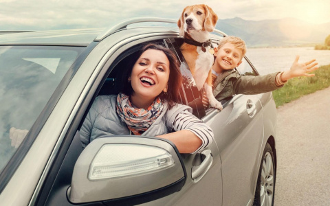 «Ростелеком» запускает продажи электронных полисов ОСАГО