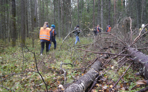 Охотников просят помочь в поисках 8 пропавших человек в Юрьянском районе