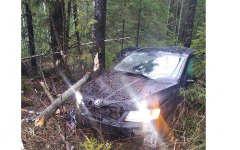 На трассе «Вятка» перевернулась иномарка: в больнице 4-летний ребенок